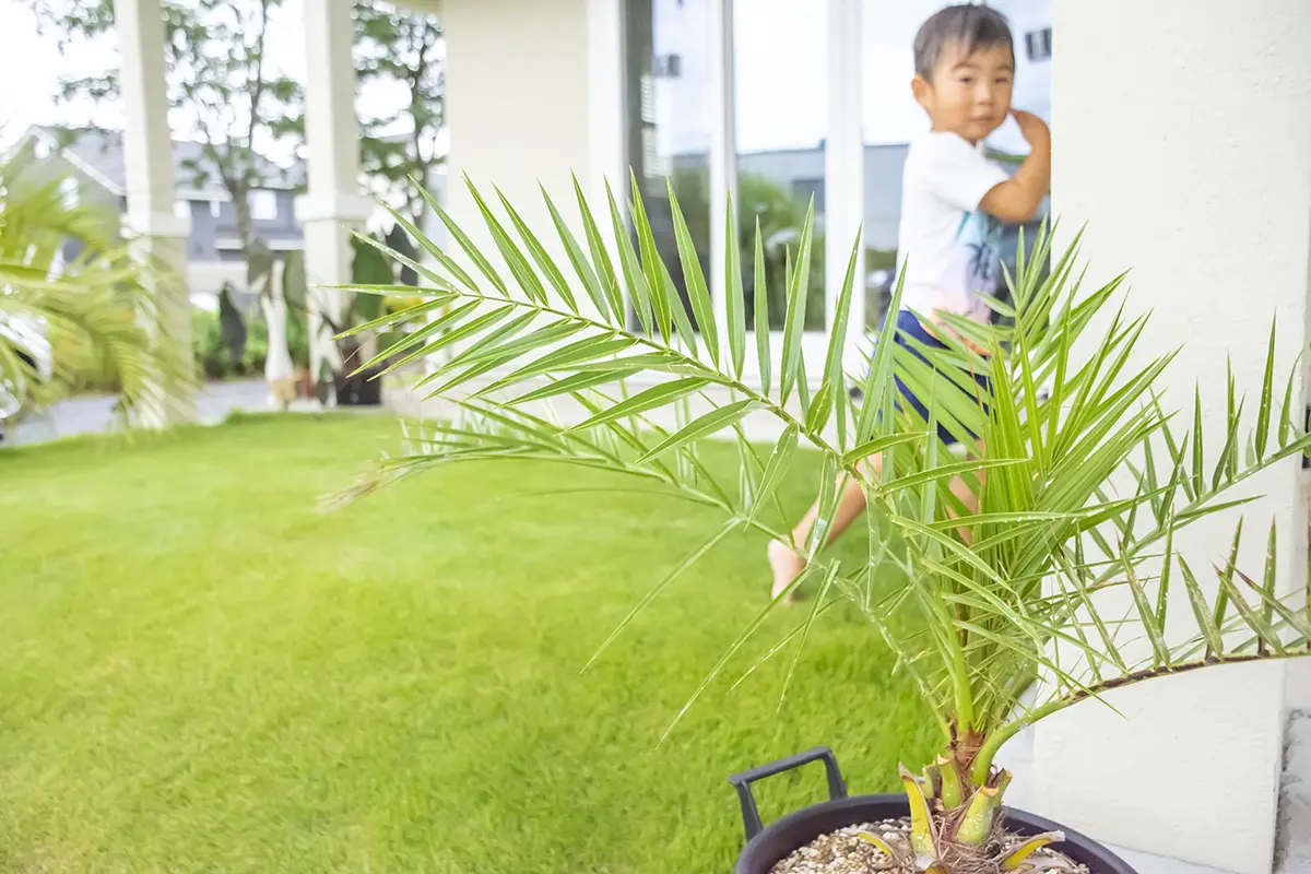 茨城県土浦市OAKSTYLE（オークスタイル）のハワイアンスタイル住宅を建てたご家族